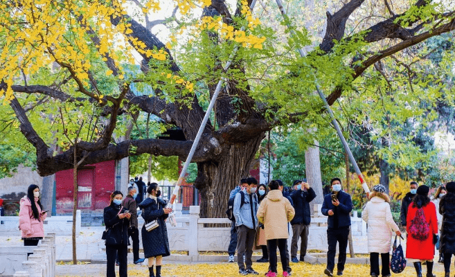 注意查收！郑州十大赏秋好去处分享，距离近大多免费！