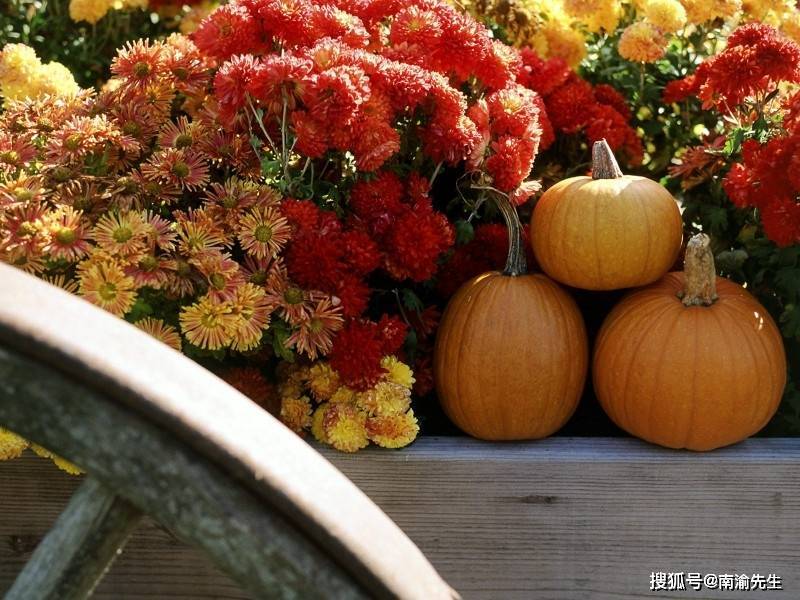 南渝先生:喜神 鸡鸣唤醒 喜神来_人们_方向_祭祀