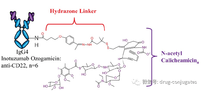 fda已批准的adc药物专利深度分析_linker_抗体_卡奇