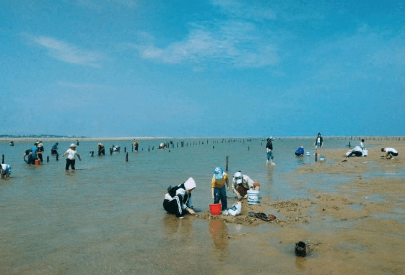 日照海鲜_螃蟹_建议_沙滩