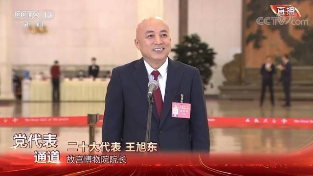 故宫博物院院长王旭东：从年轻人做起，推动世界各国人民相互理解相互尊重