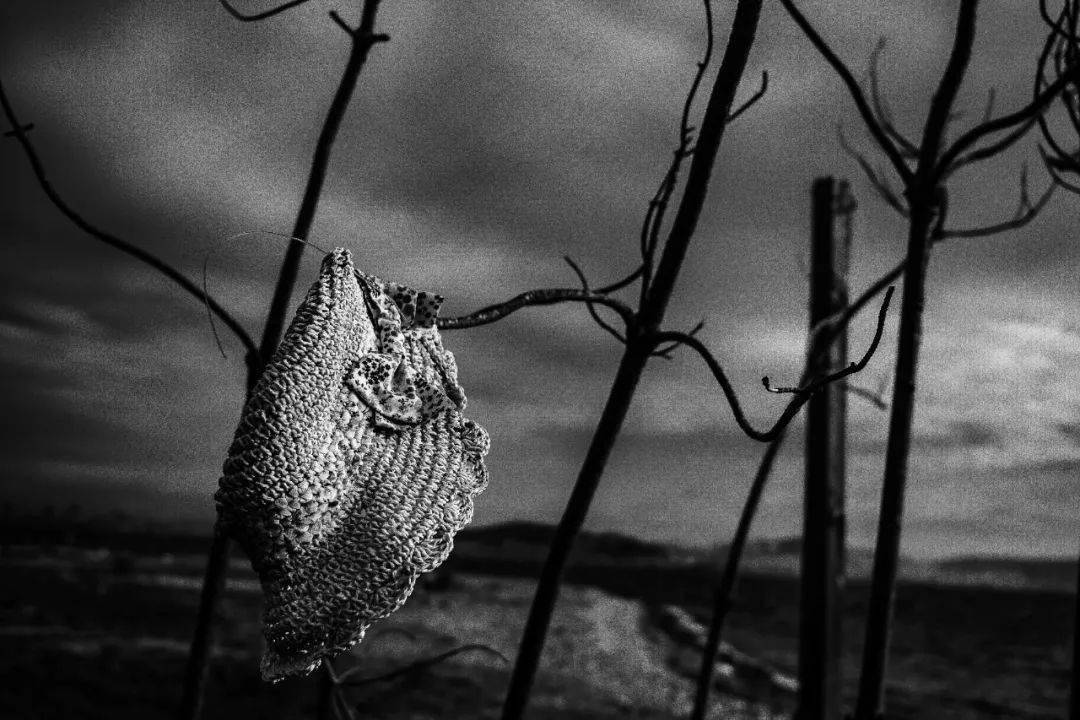 �ھŽ���Ϲ�����Ӱ˫��չ��Ʒ�������䡢�¼��¸�У��