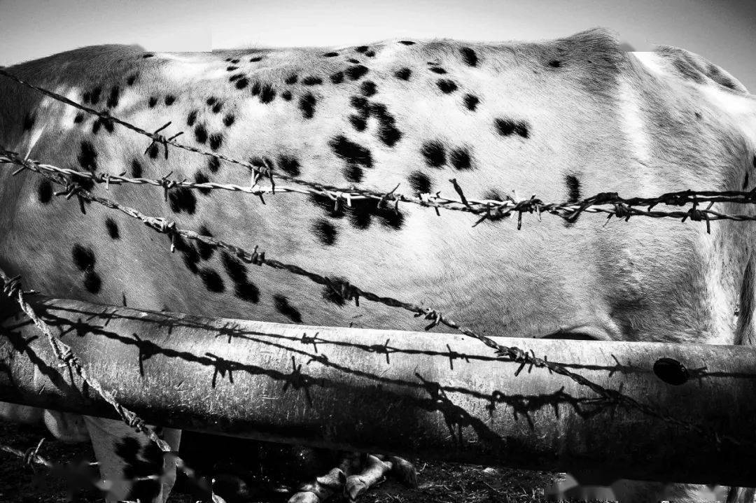 �ھŽ���Ϲ�����Ӱ˫��չ��Ʒ�������䡢�¼��¸�У��