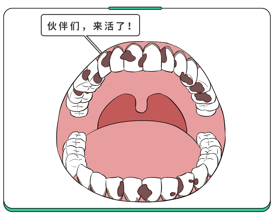 开。牙菌斑也很喜欢我们，因为我们黏牙难清理，就会加剧宝宝患龋风险。图片来源：科学家庭育儿原创如果你家