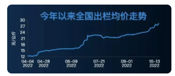 连续3天发文！国家发改委：加大力度，稳定猪价