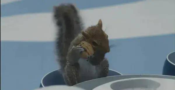 10���������ݵĵ�Ӱ��С���ѵ�Ц����ĺ�����