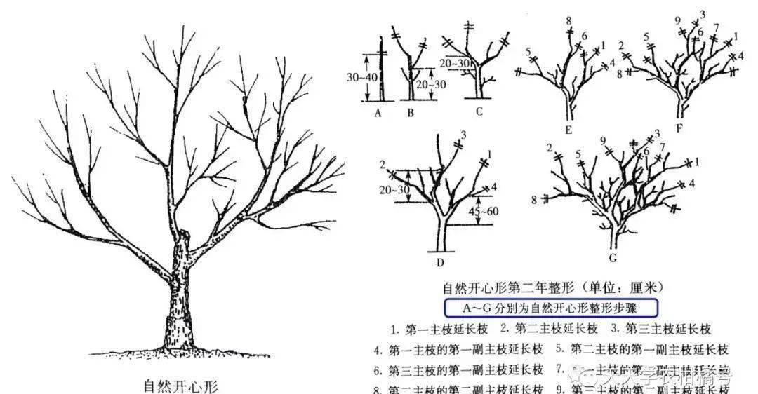 简笔画 手绘 线稿 1080_562