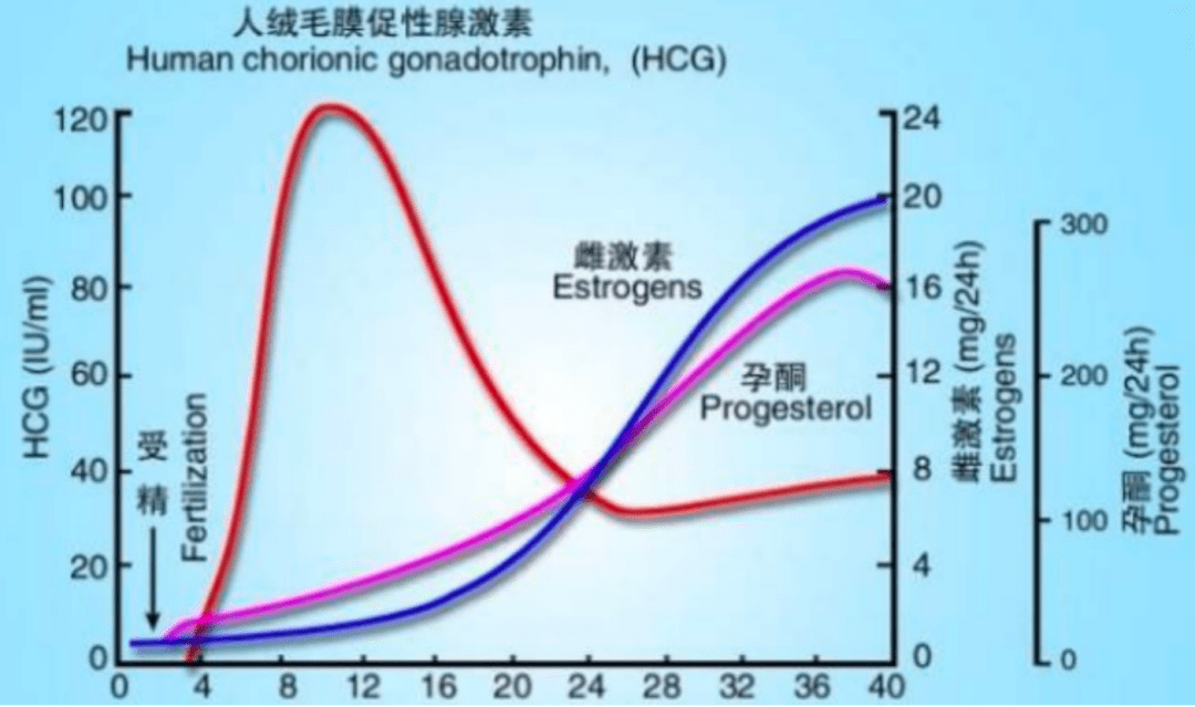 孕酮低会导致流产?哪些情况下需要黄体支持?