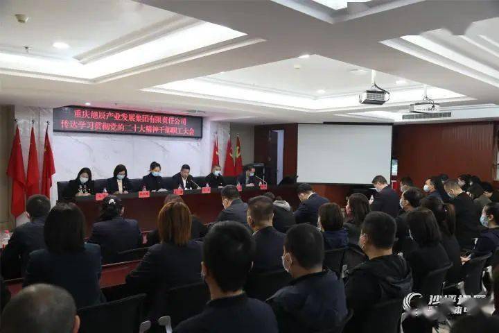 沙坪坝区学习党的二十大精神(四)_工作_建设_宣传