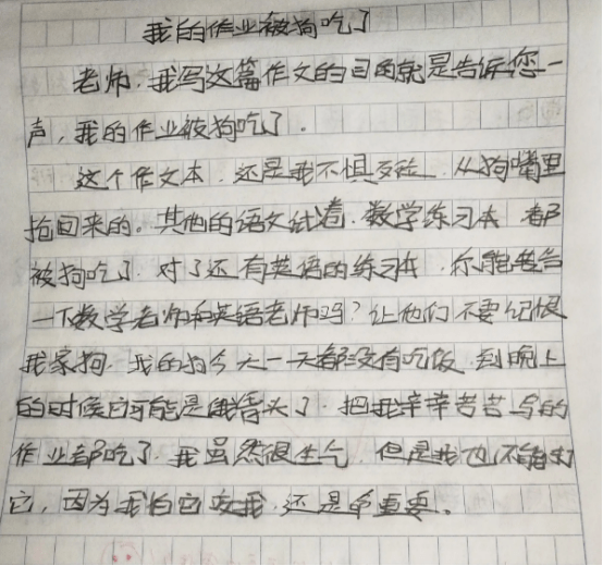 小学生写作文说“不要妹妹”，理由让人笑到肚子疼，妈妈扶额叹息  小学作文 第3张