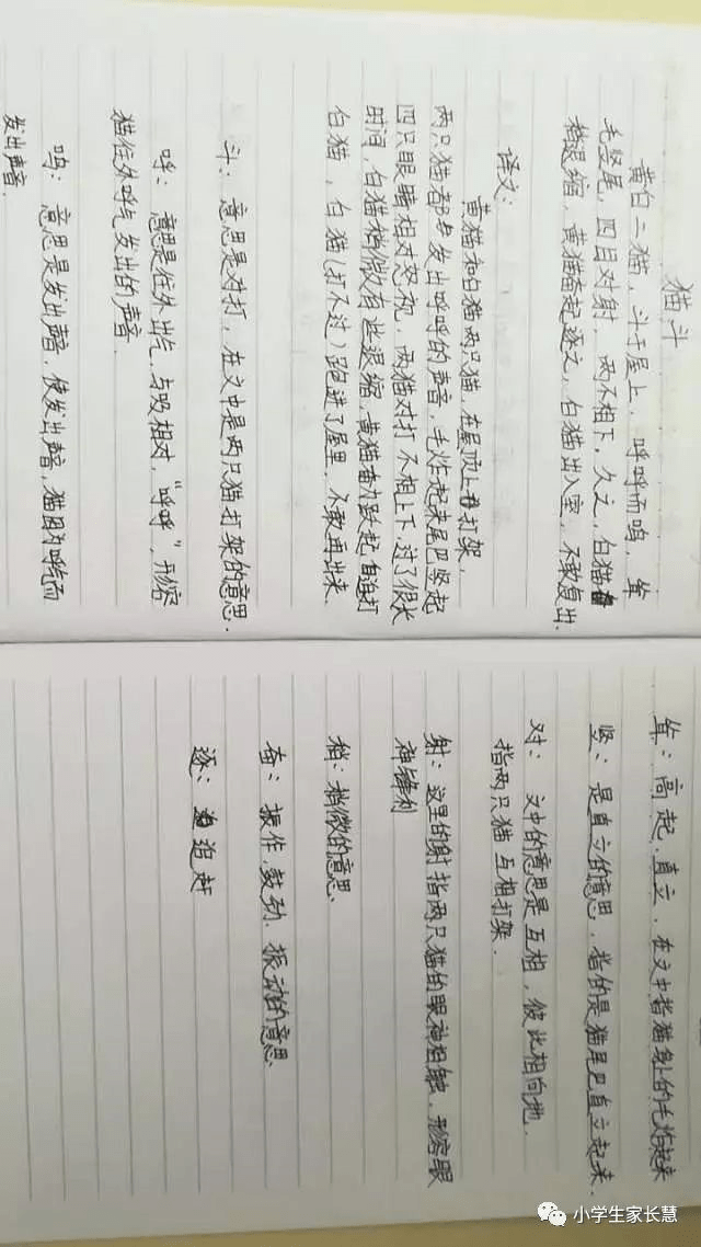 【小学生必读小古文100篇】第十二篇：《龟兔竞走》