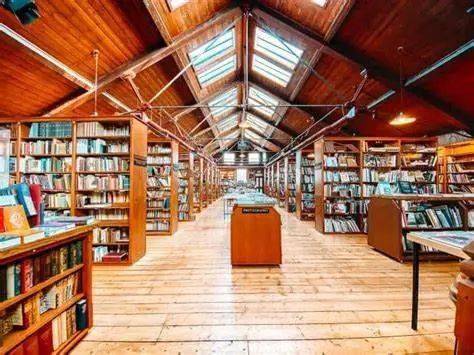 �¿� | ʷ��������������֮��