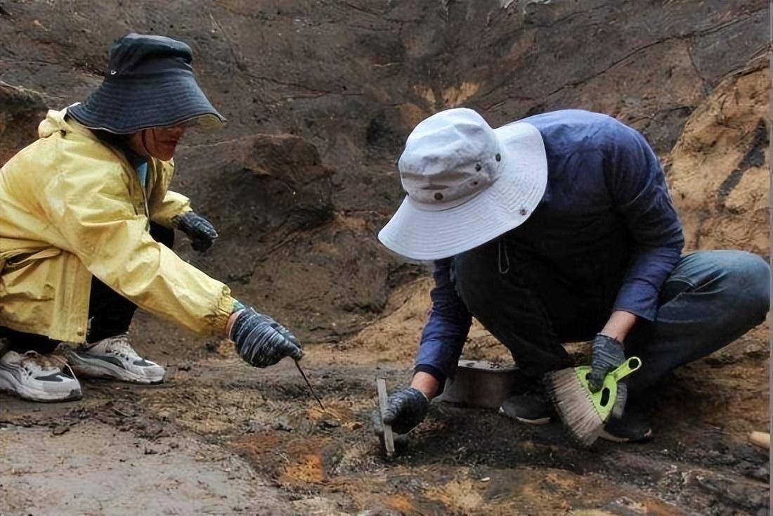 。随着众多专家与青年新生力量的注入，近年来考古学的成绩也突飞猛进。
