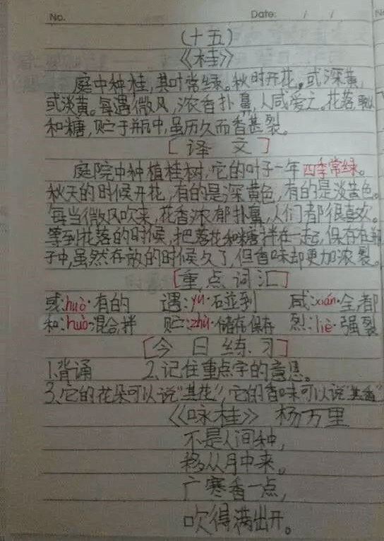 【小学生必读小古文100篇】第十六篇：《莲》