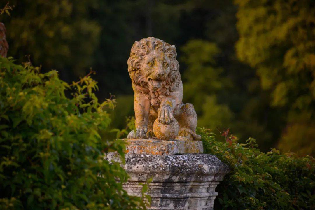 浴火重生的斑斓 | Château de Valmer 瓦尔默城堡花园