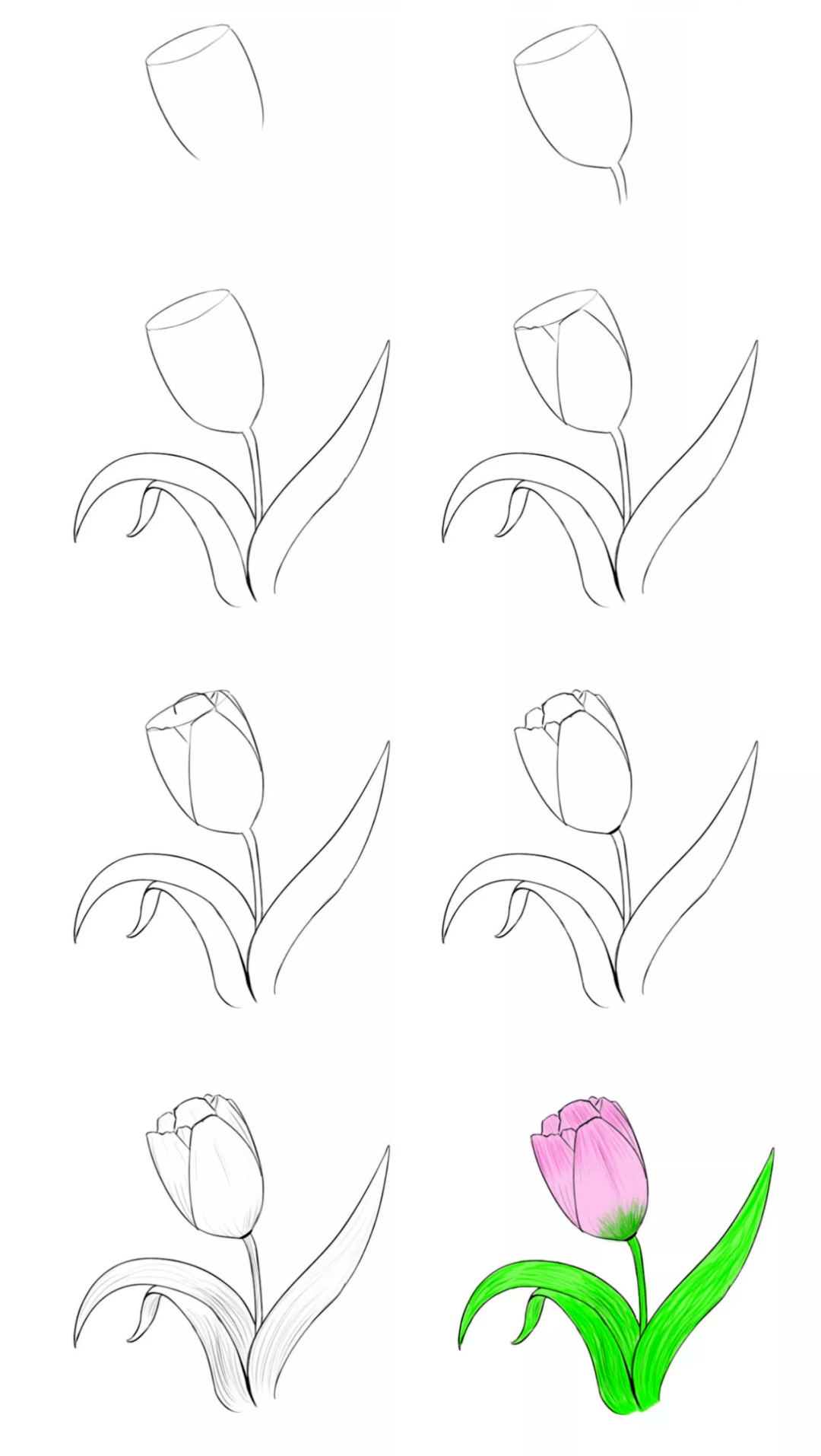 100���İ�С������ʻ�����̴̳�ȫ��