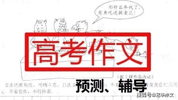 2023年高考作文预测：平视，一种温和的力量  高考作文 第1张