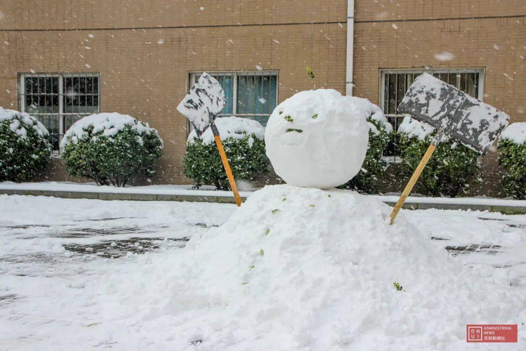 李若豪_雪花_原文