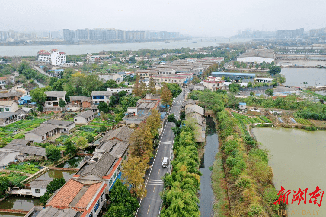 这条农村公路为何被称为"廉洁路"_天心区_项目_建设