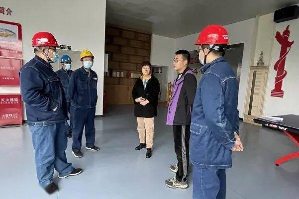 眉县公司:党建红与电力蓝点亮的冬天_服务_电网_供电