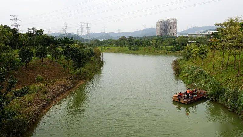 深圳:石岩湖"环湖"绿道徒有虚名 必须举报投诉才能?