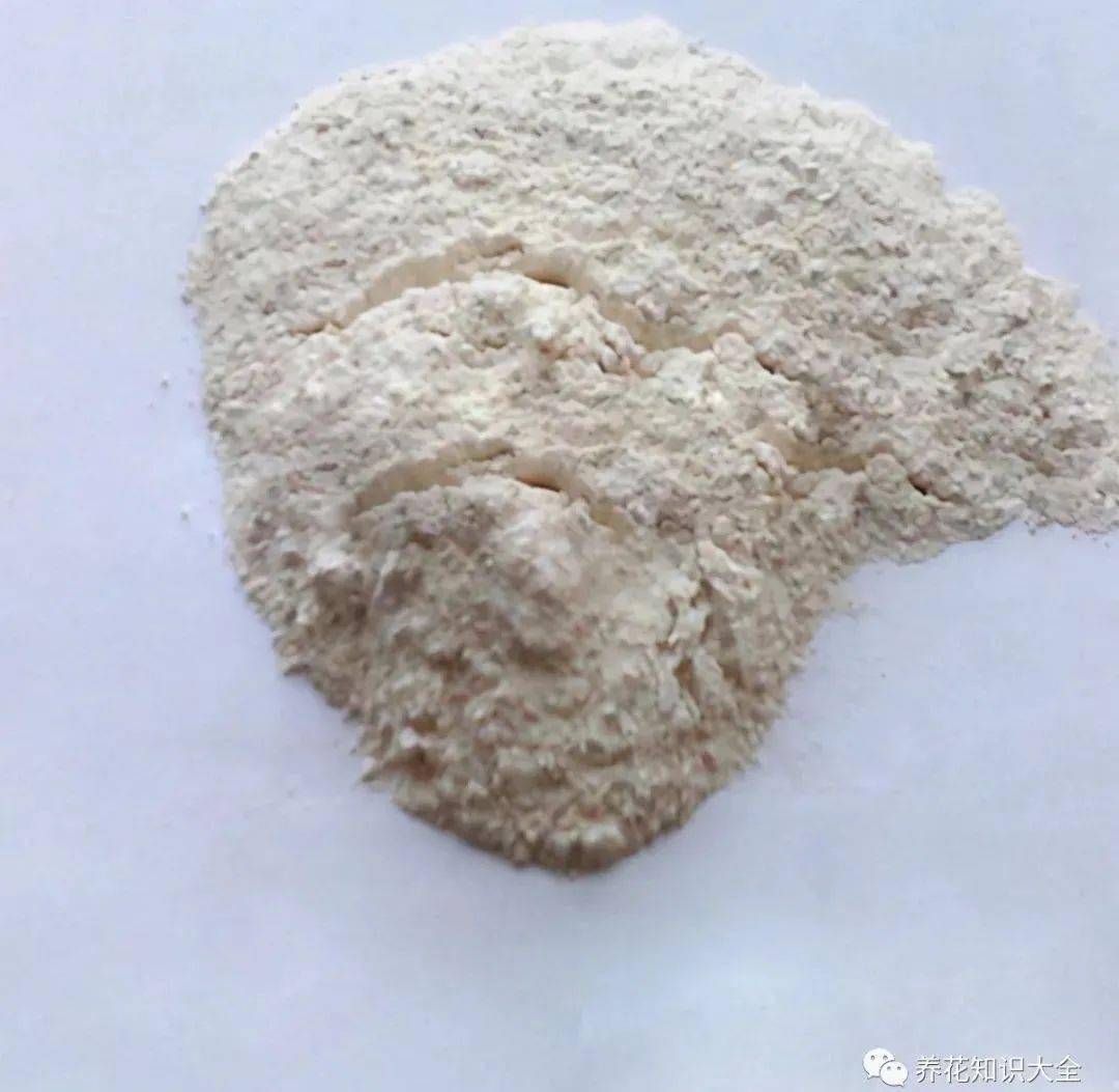 阿司匹林粉阿司匹林里面的水杨酸有生根和壮根的作用，还能增强花草的抵