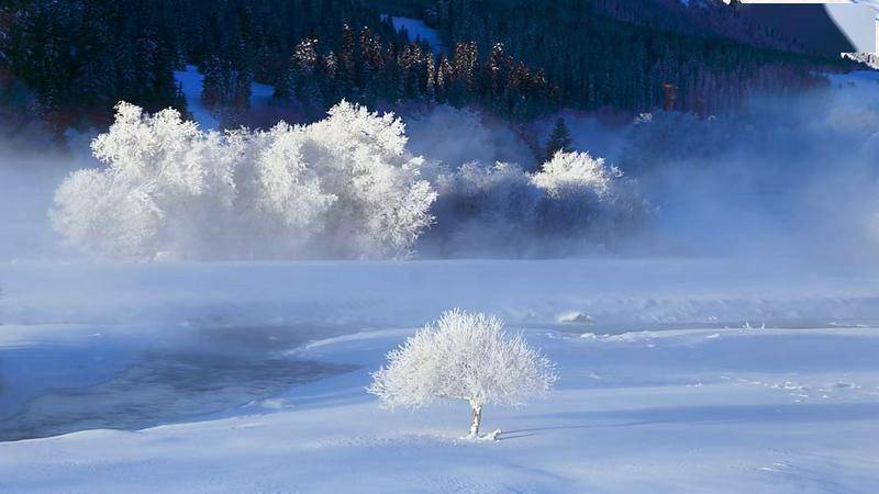 赏雪 巩乃斯_带你去_地方_山岗