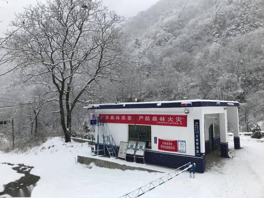 雪中林站 姚鹏波摄 三等奖 连绵群山映金辉 张振海摄 三等奖 秦岭