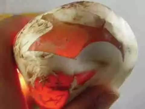 ʯͷ