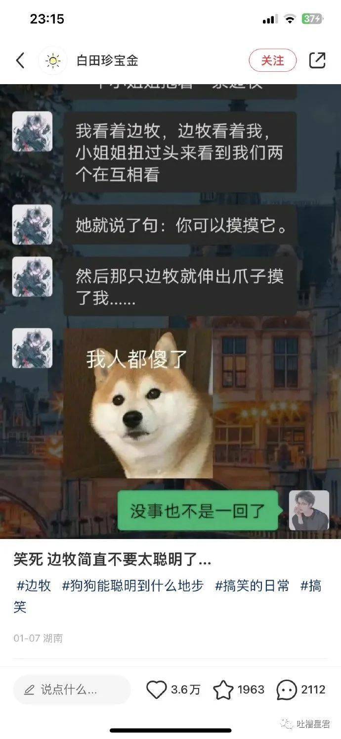 “王思聪：新的一年与209w息争？！”啊啊如今挨打来得及吗...