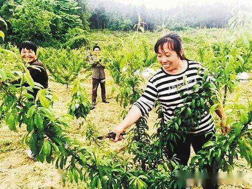 休闲农业与乡村旅游的难点与发展Kaiyun 开云路径(图6)