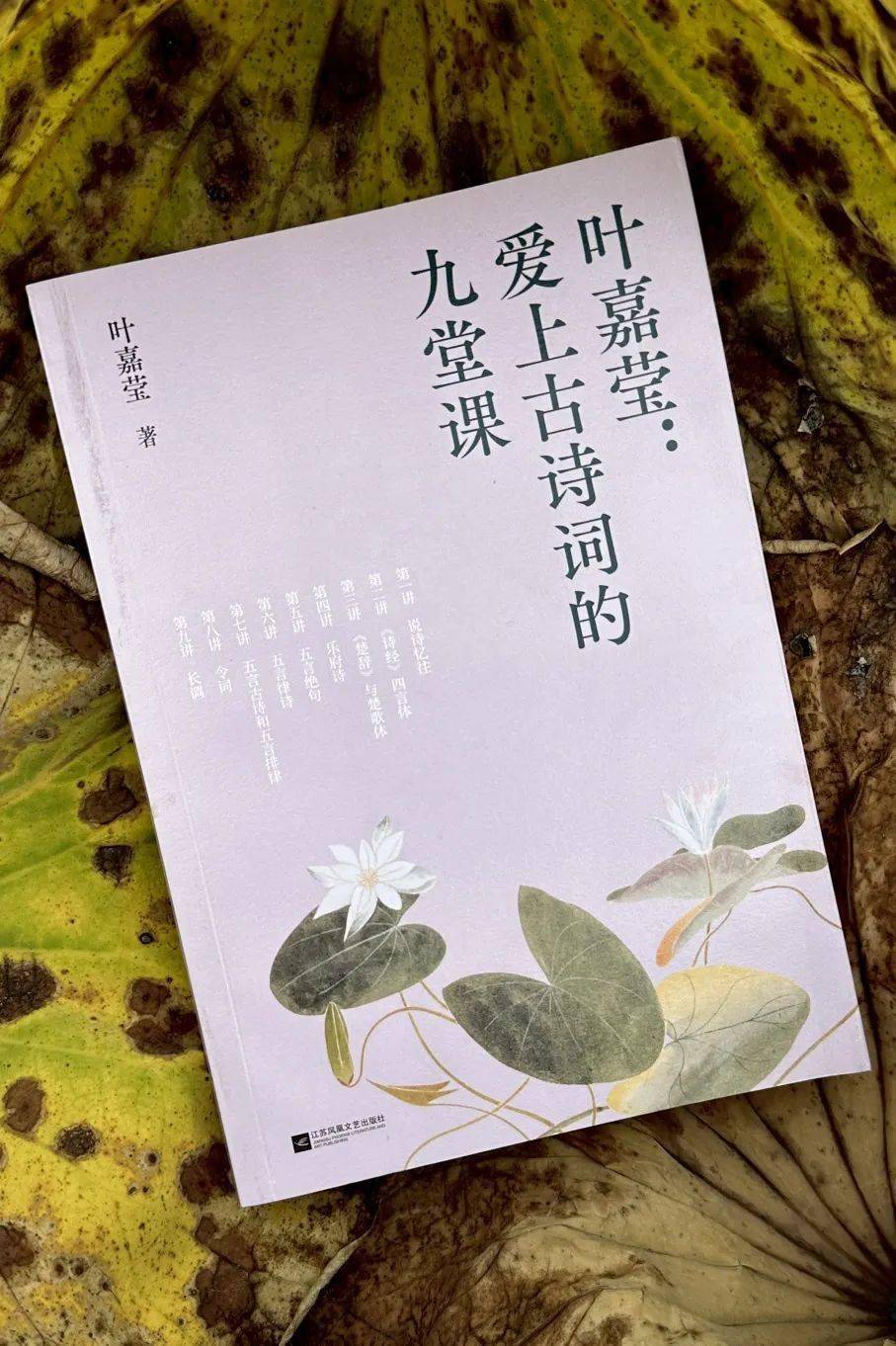 人民日报刊发《中文分级阅读文库（晋级版）》书讯