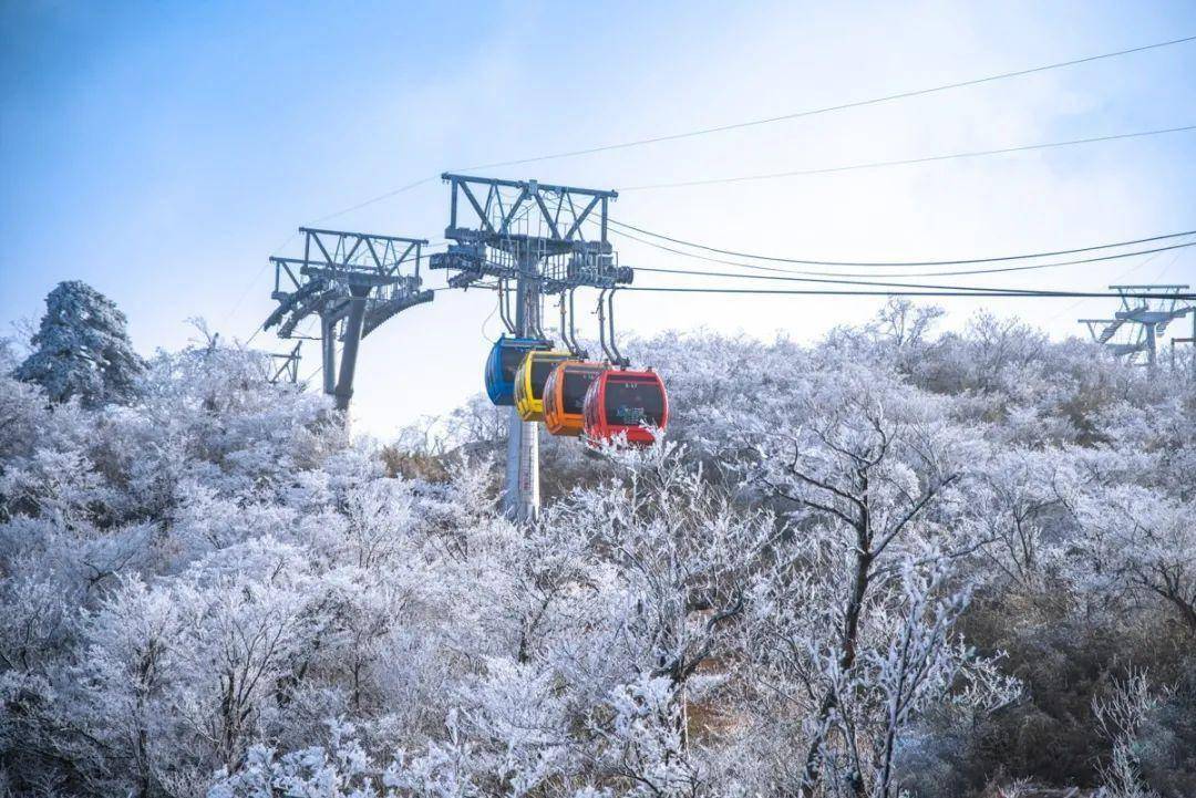 安吉那家天然里竹林民宿，超大泳池，顶楼超大景不雅天台丨山水来兮