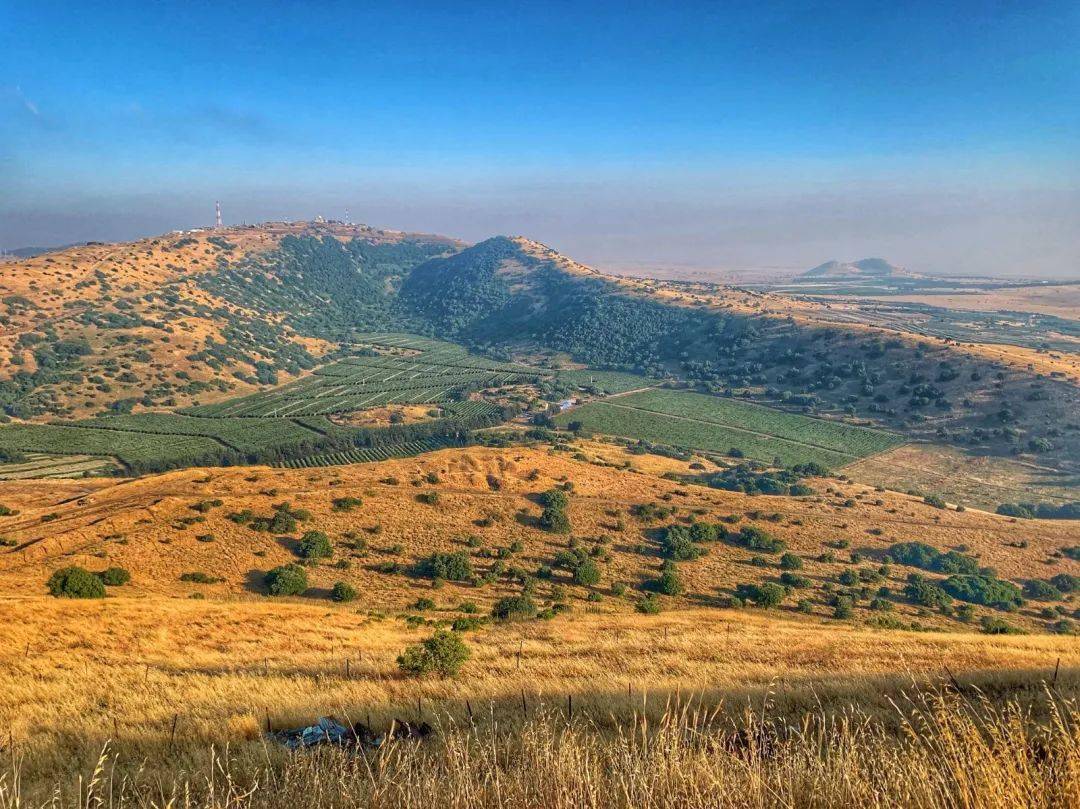 6��13��Ӧ��֮��Ү·����-��ɫ��Լ���Լ�֮��