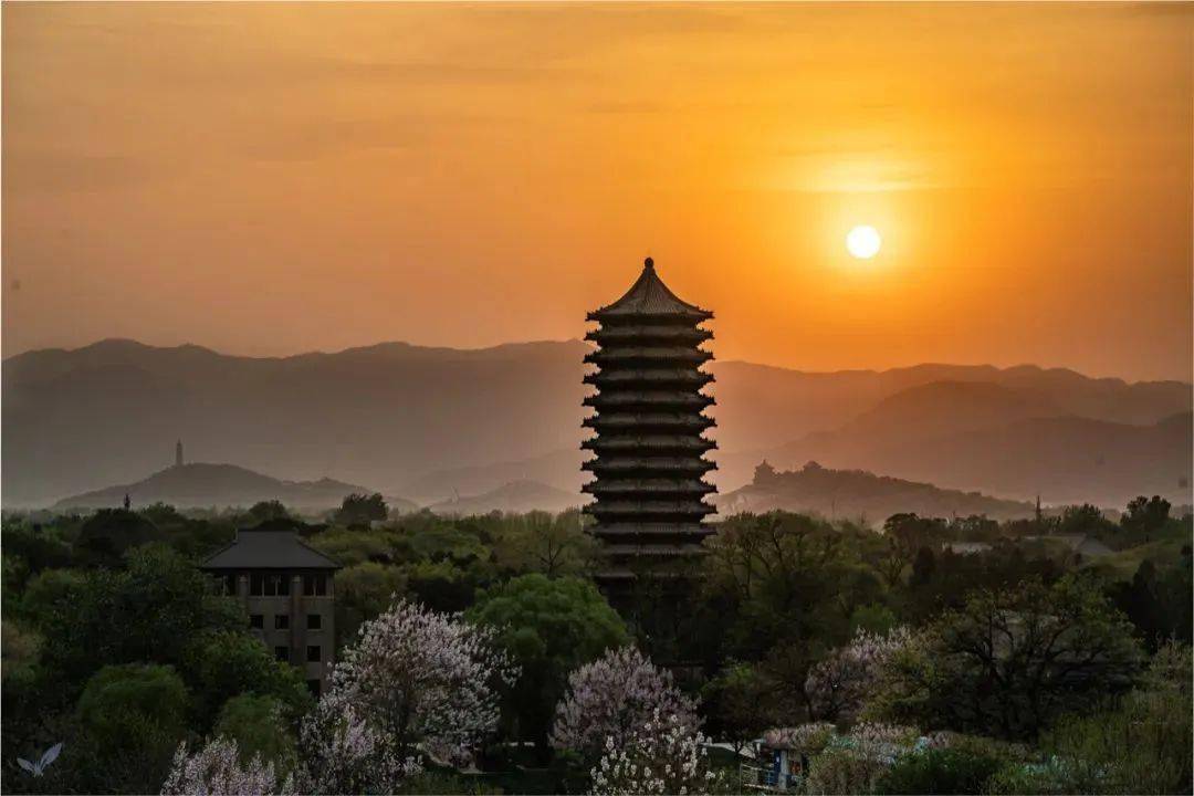 北大祝你新春快乐 | 高校新春送祝愿①