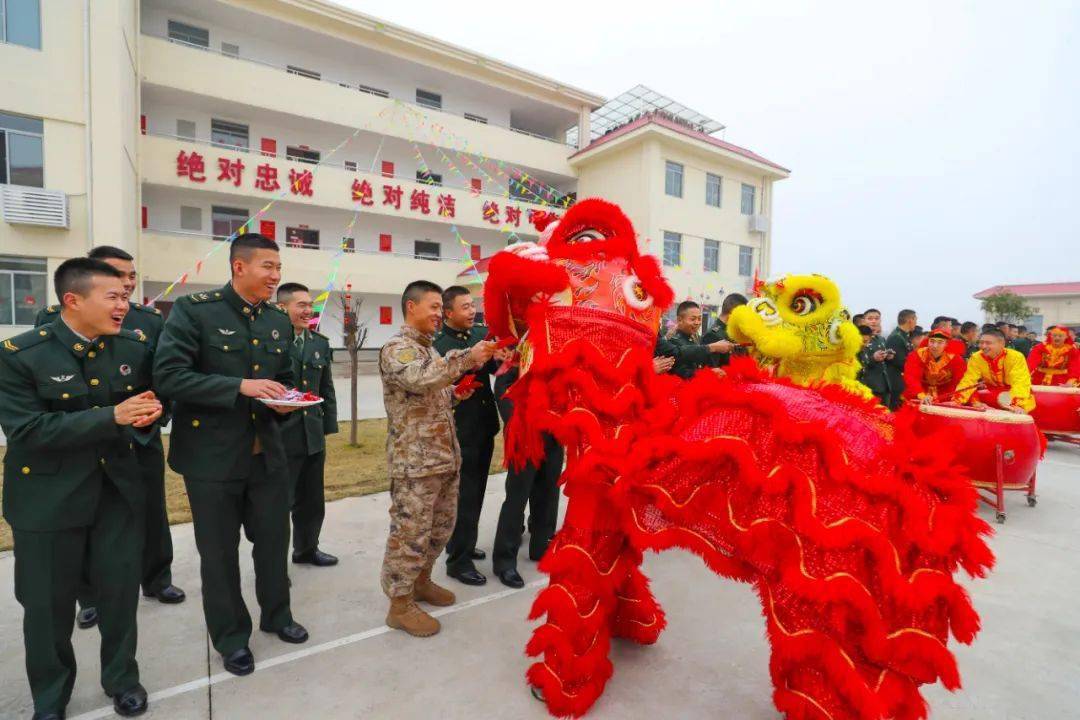 春节体裁活动，出色纷呈！