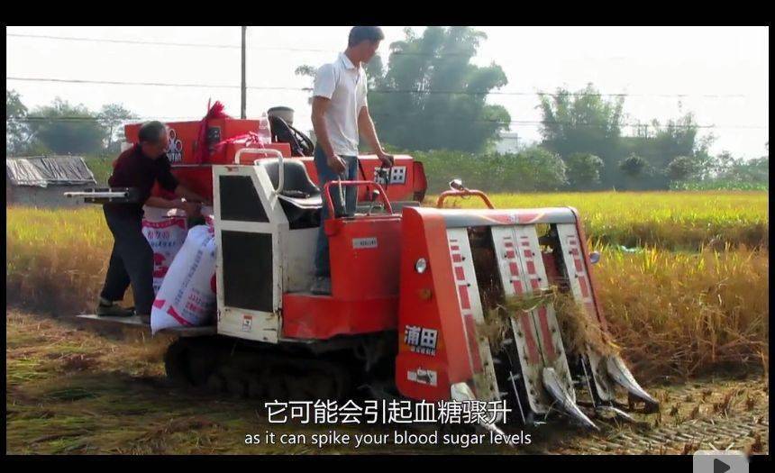 BBC纪录片清点全球最不安康的饮食体例，中国人中了好多箭……那说的是你吗？