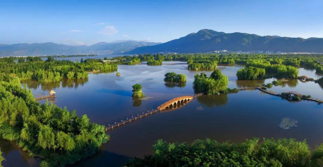 【世界湿地日】走进中国更大城市湿地 感触感染湿地与城市共生之美