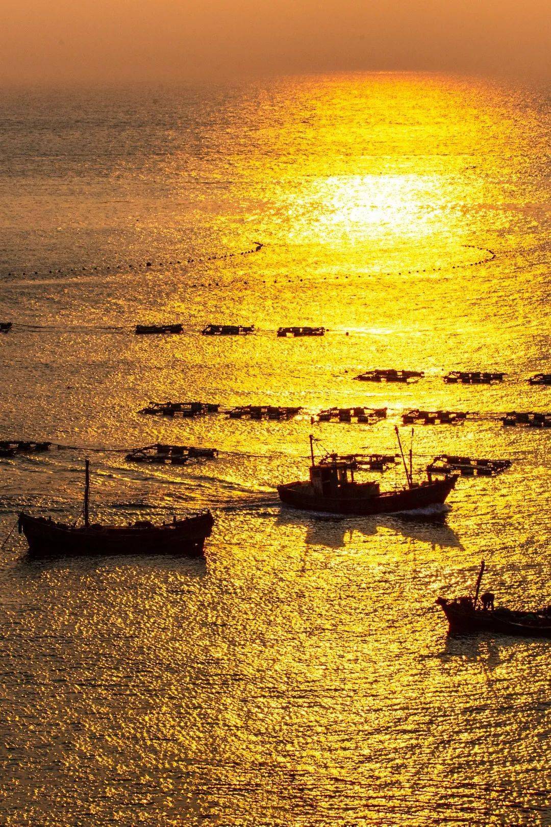 来西海岸，开启逃光之旅！