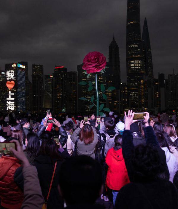 原标题：巨型“玫瑰”亮相上海外滩