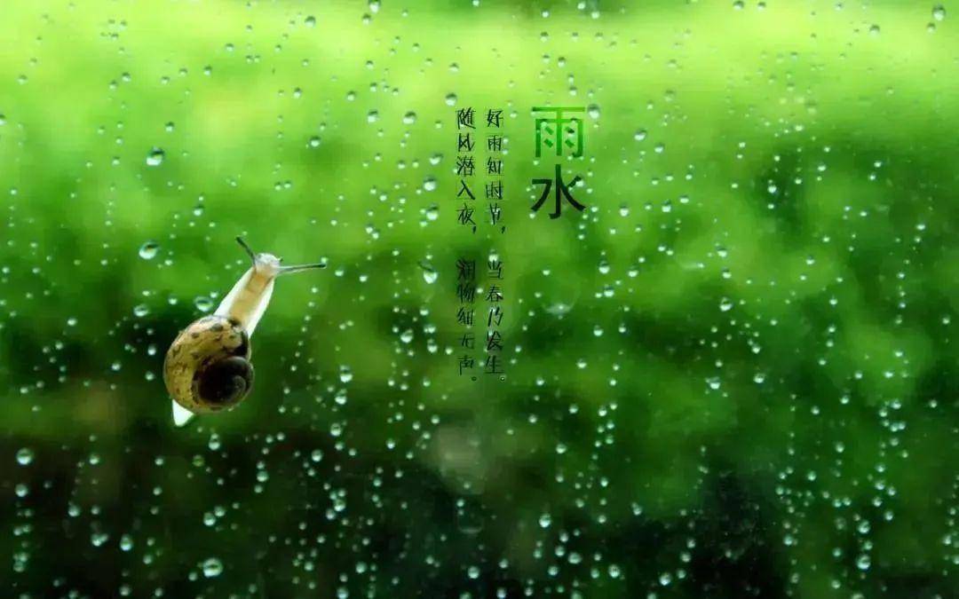 雨水诗词丨一帘新雨后，人世又逢春