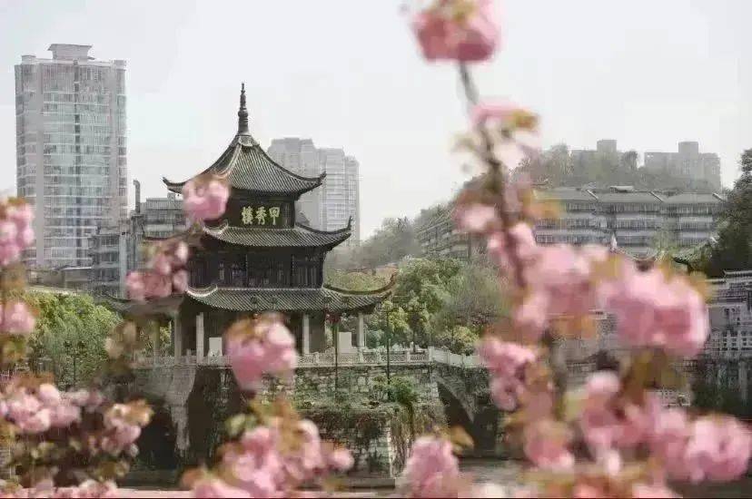 不行万亩樱花园，那座宝藏城市竟还有32个赏花地？