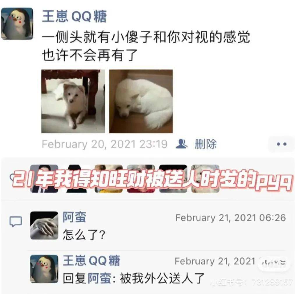 浙江网友偶尔刷到四川小流离，竟找到了本身丧失两年的狗！