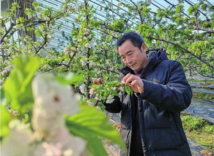 济南实干的步履不断：把种子撒在希望的田野上