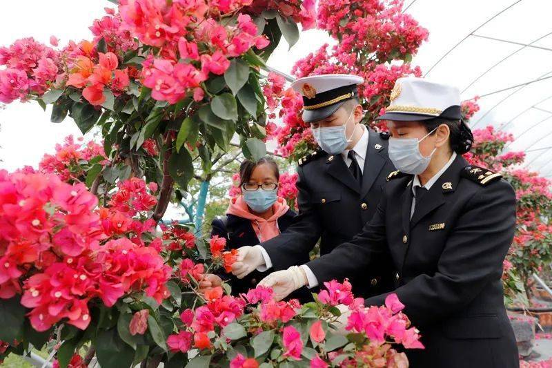 致敬她力量 | 中山海关驻石岐处事处妇委分会祝广阔妇女员工节日快乐！