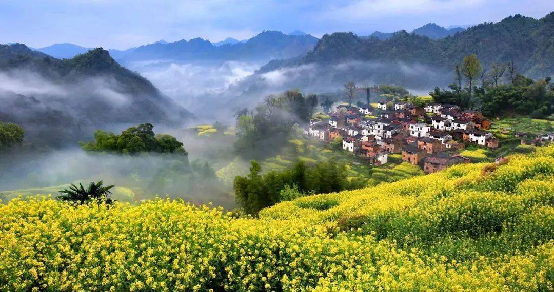 Kaiyun 开云农旅融合 示范带动——看江西省休闲农业如何为全面推进乡村振兴提供绿色引擎(图4)