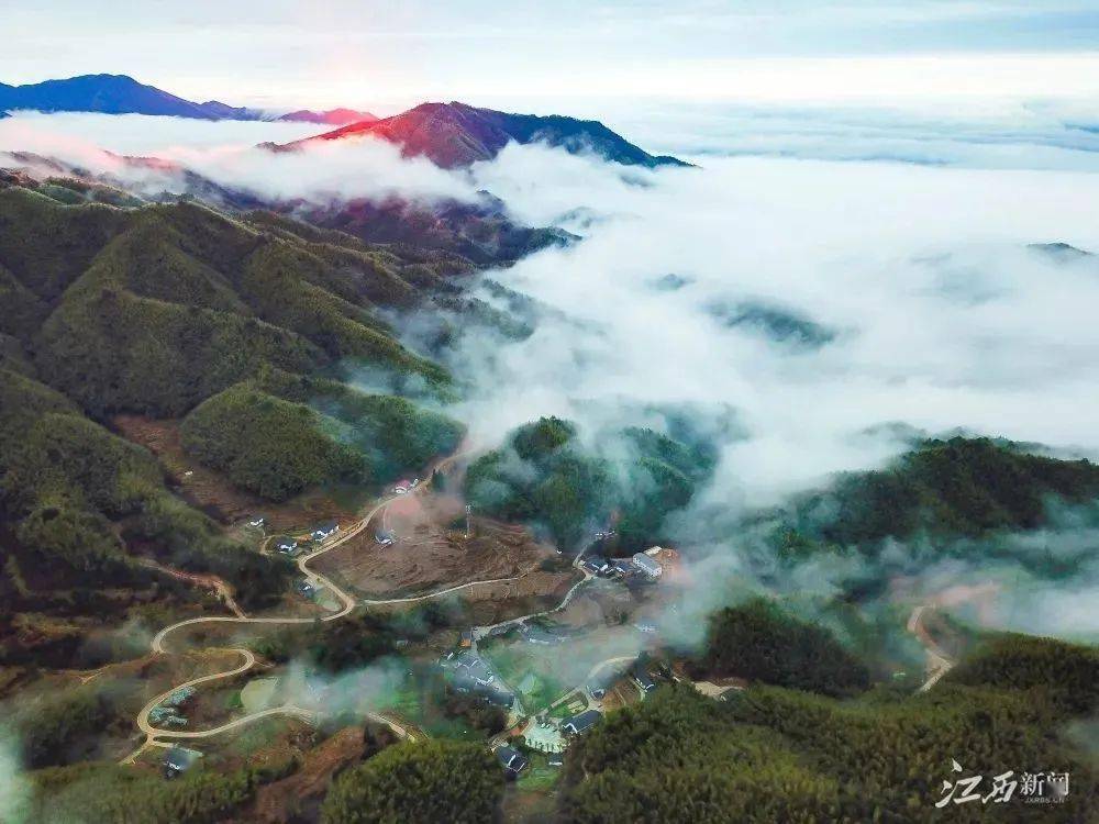 Kaiyun 开云农旅融合 示范带动——看江西省休闲农业如何为全面推进乡村振兴提供绿色引擎(图5)