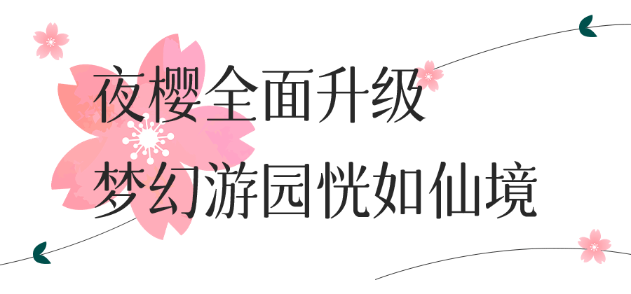 夜樱开放！东湖樱花节最全攻略请收好