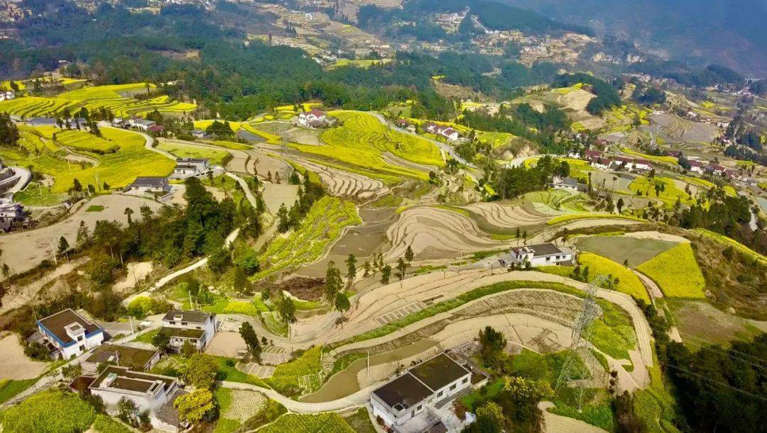【抗旱保民生】桐梓县沿岩村：架设管道让“望天田”有水“喝”(图4)