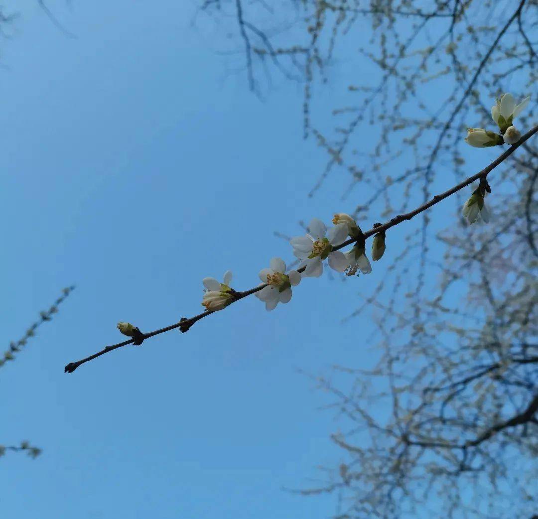 ���ʴ��������ļ���С�£��������